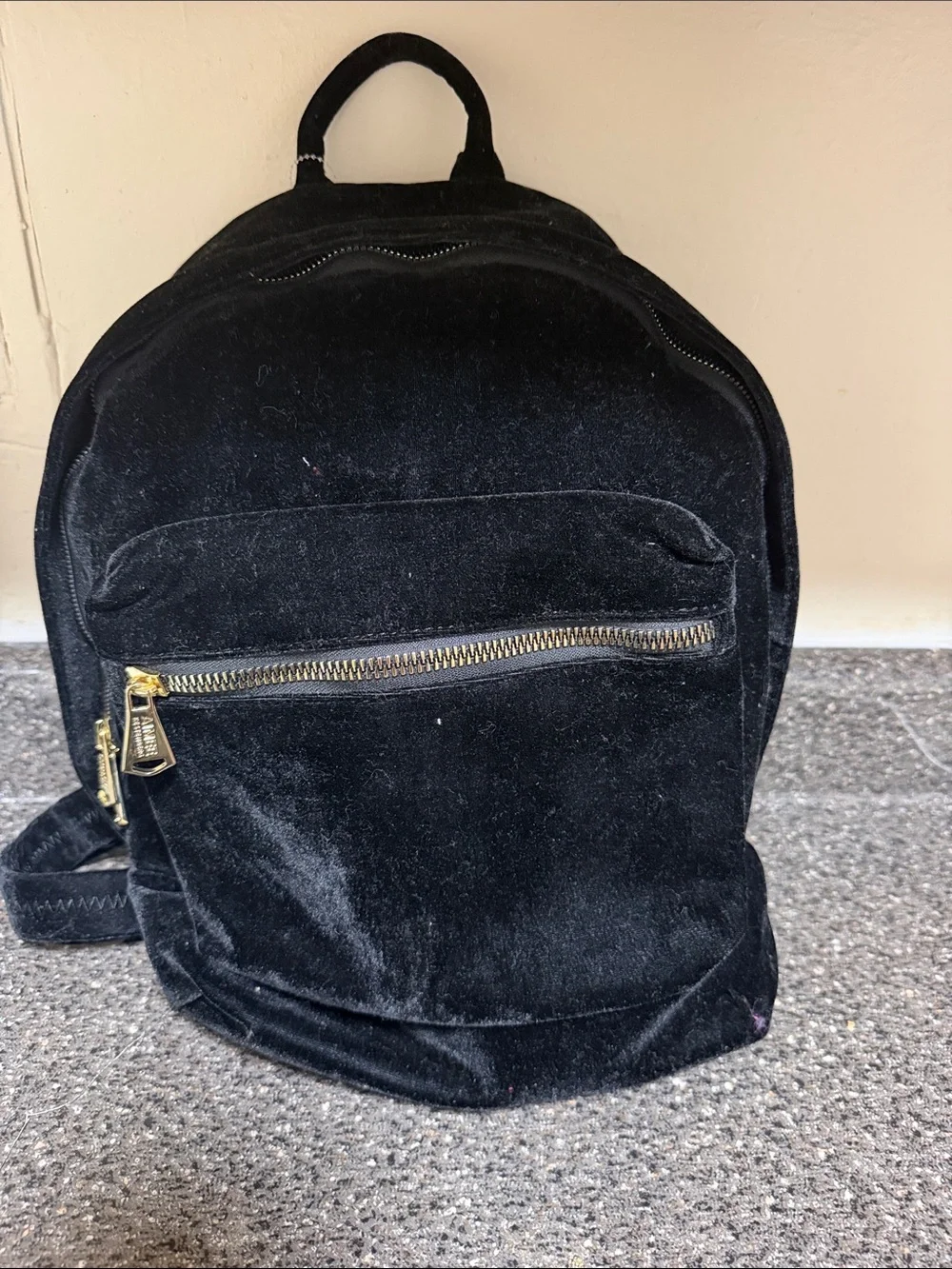 Aimee kestenberg velvet backpack NWOT